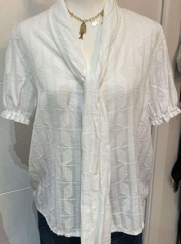 BLUSA PLUMETTI BLANCA 31304